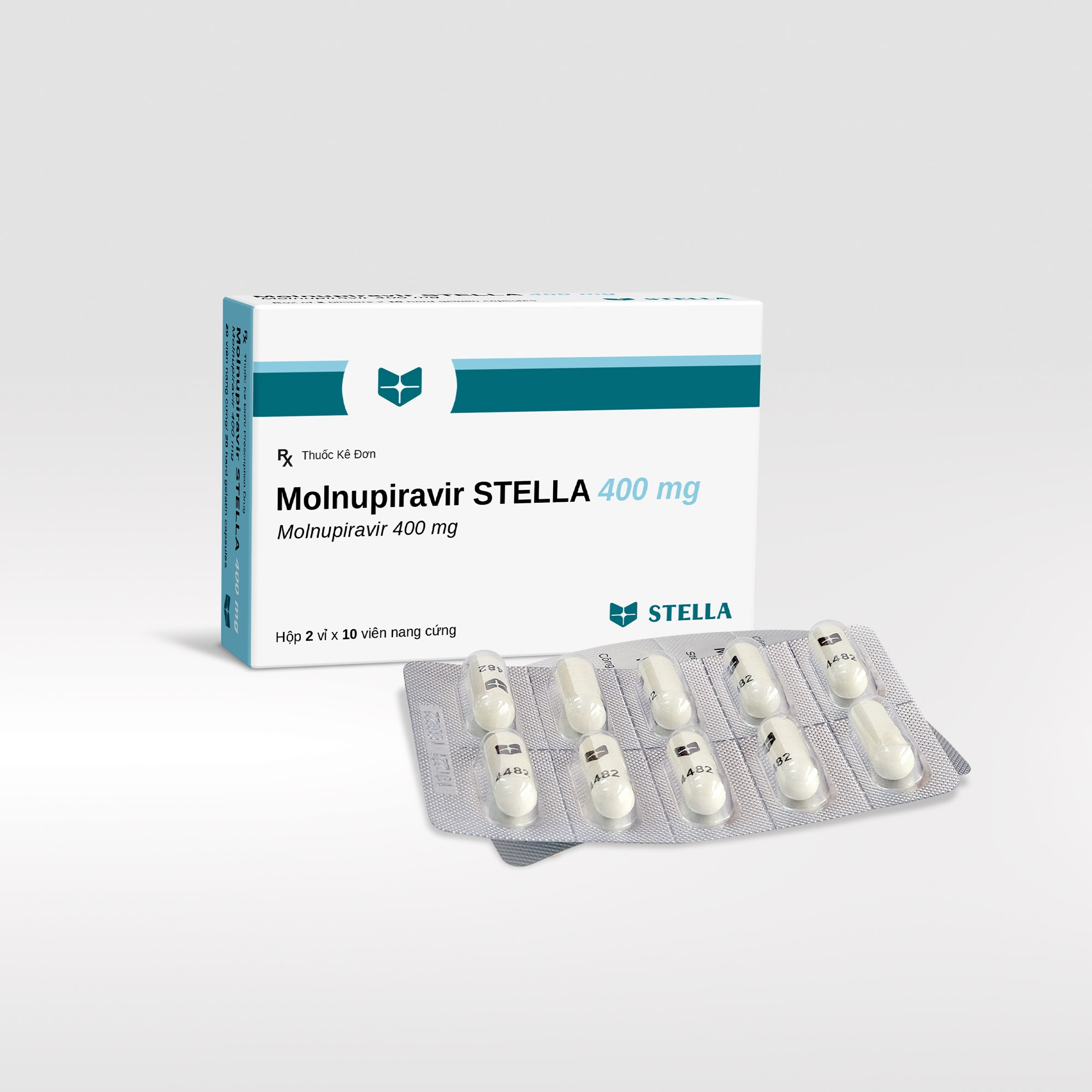 THÔNG QUA TỔ CHỨC MPP, STELLAPHARM ĐẠT THỎA THUẬN VỚI MSD CHO PHÉP SẢN XUẤT MOLNUPIRAVIR TẠI VIỆT NAM